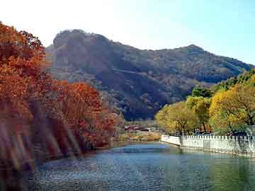 澳门二四六天天彩图库，推油经历